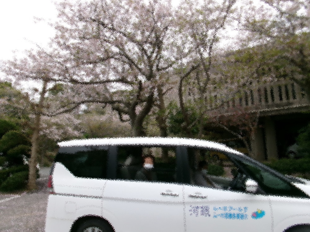 KODAK Digital Still Camera